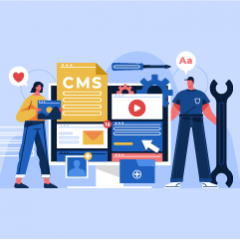 Customization-of-CMS